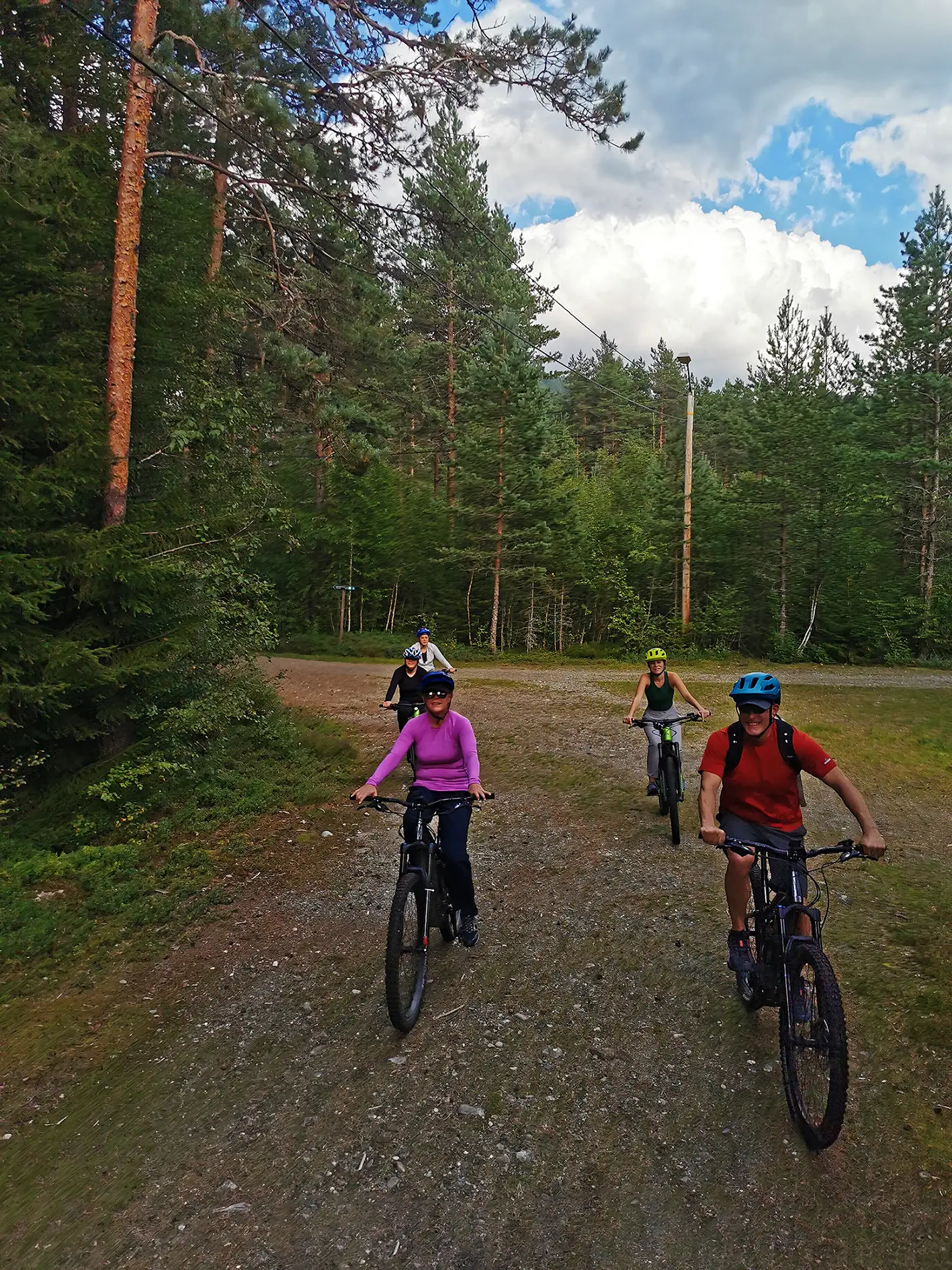 MOUNTAIN BIKE Voss Forest